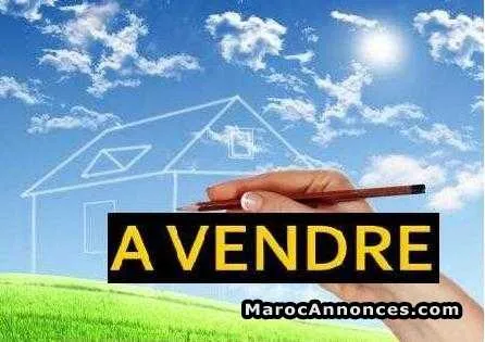 Terrain r+5 bon affaire - الدار البيضاء (2)
