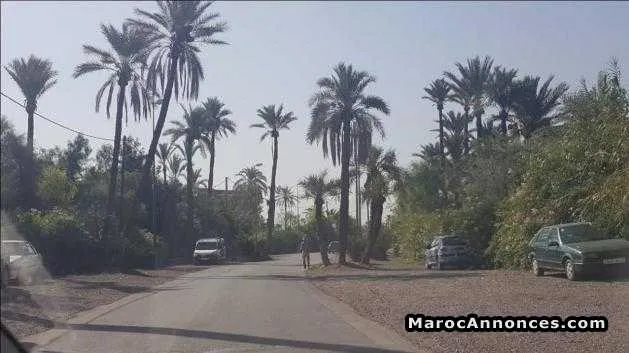 Terrain 2000m² à la palmeraie - مراكش (3)