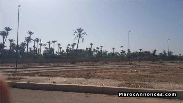 Terrain 2000m² à la palmeraie - مراكش (2)