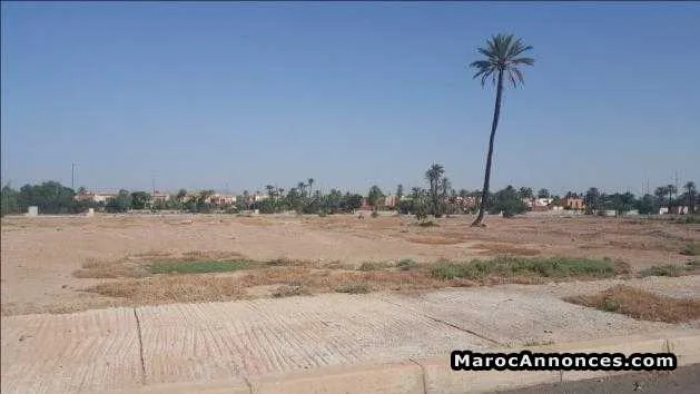 Terrain 2000m² à la palmeraie - مراكش