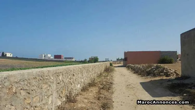 Terrain 200m - الوليدية (2)
