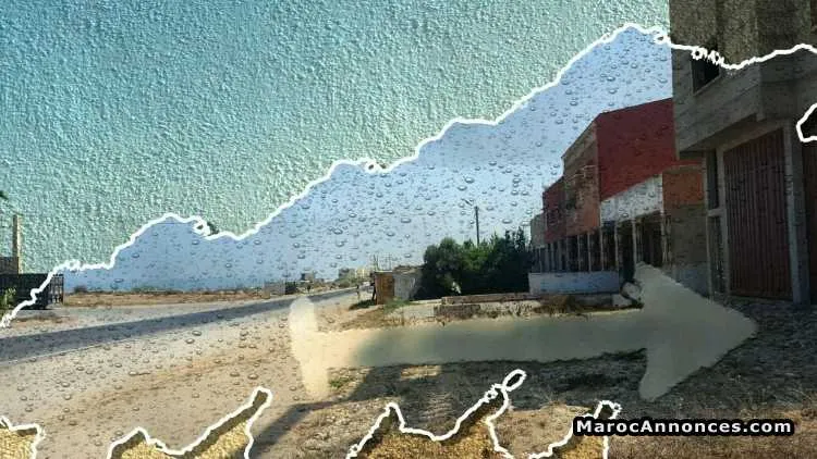 Terrain 200m - الوليدية