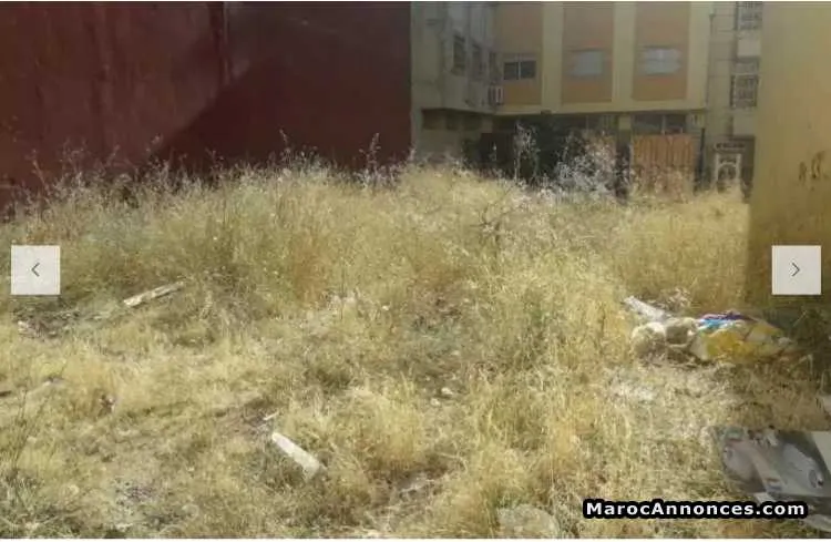Terrain à vendre - طنجة (2)