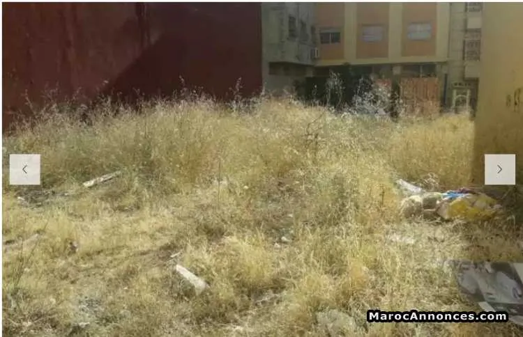 Terrain à vendre - طنجة