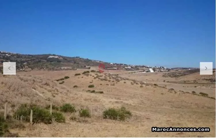 Terrain à vendre - طنجة (3)