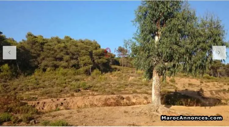 Terrain de 2000 m² à vendre - طنجة (2)