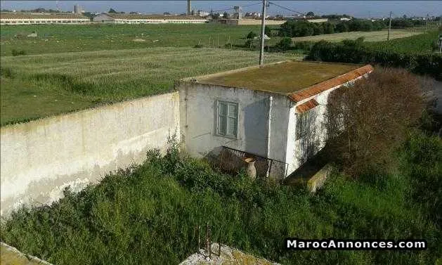 Terrain 500 m2 à sidi rahal - الدار البيضاء (2)