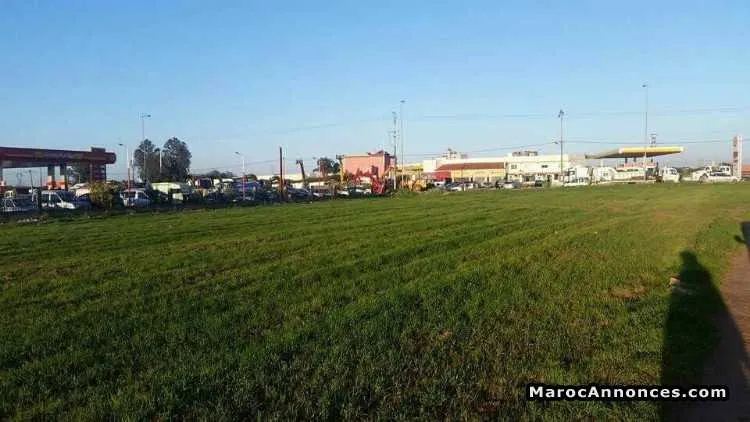 Terrain à vendre à bouskoura - الدار البيضاء (3)