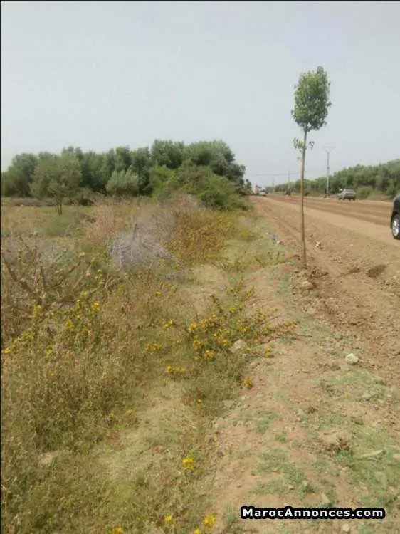 Terrain 3200 m2 titrés a marrakech - مراكش (3)