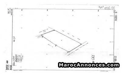 Terrain à vendre sur la ville mririt - الدار البيضاء (3)