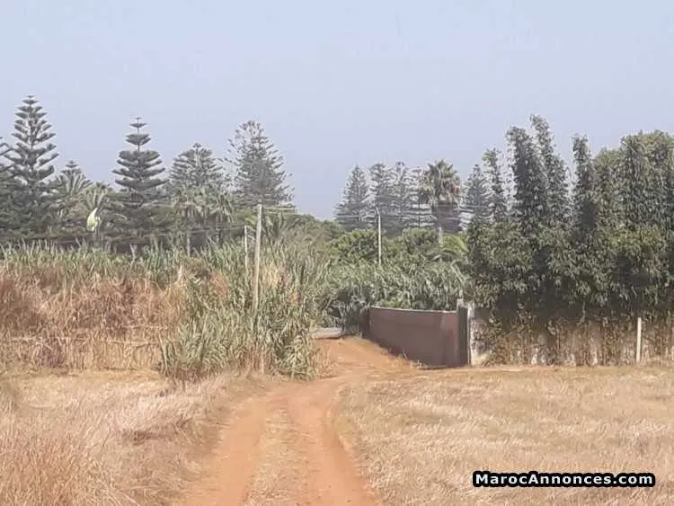 Terrain de 2000 m² skhirat - الرباط (2)
