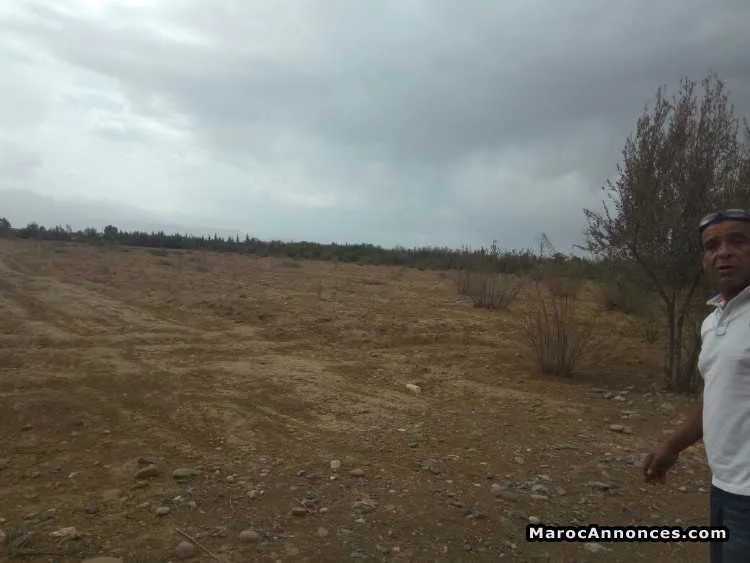 Terrain 8 h - مراكش (3)