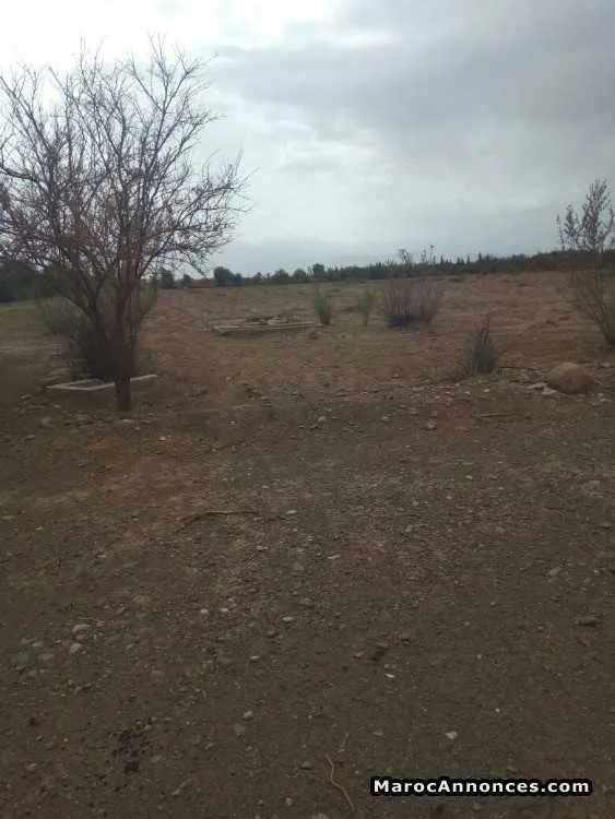 Terrain 8 h - مراكش