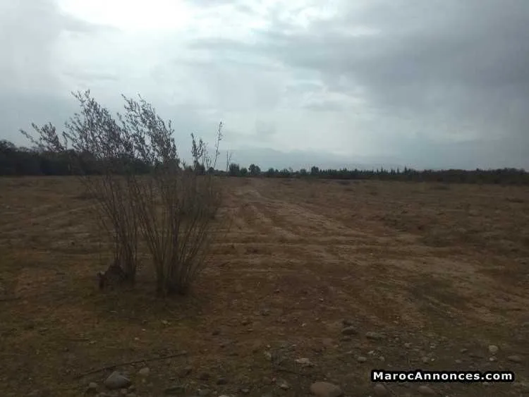 Terrain 8 h - مراكش (2)