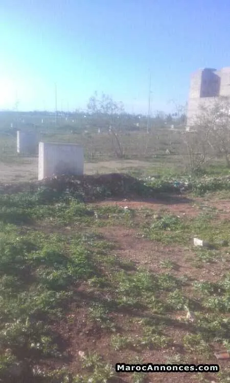 Terrain pour construire villa - الدار البيضاء (2)