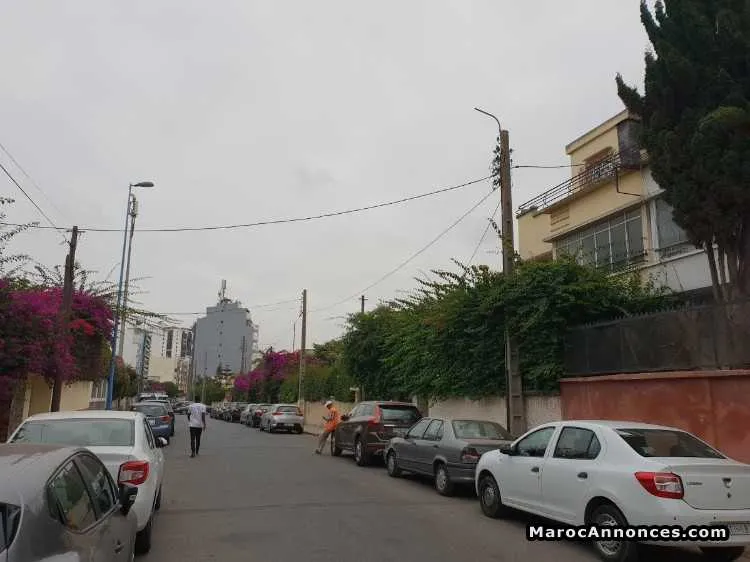 Terrain de 248 m2 palmier - الدار البيضاء (2)