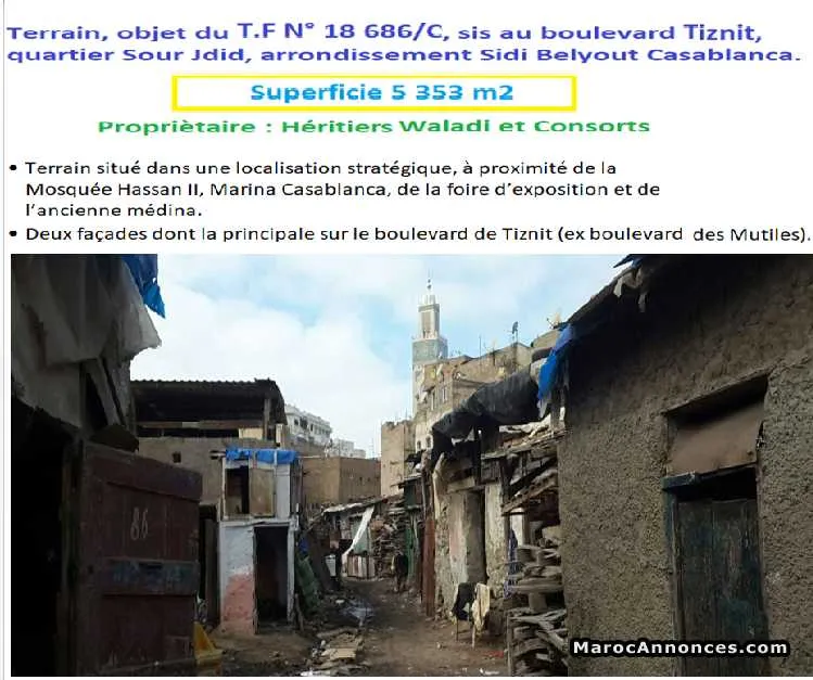 Terrain à vendre  353m2 - الدار البيضاء