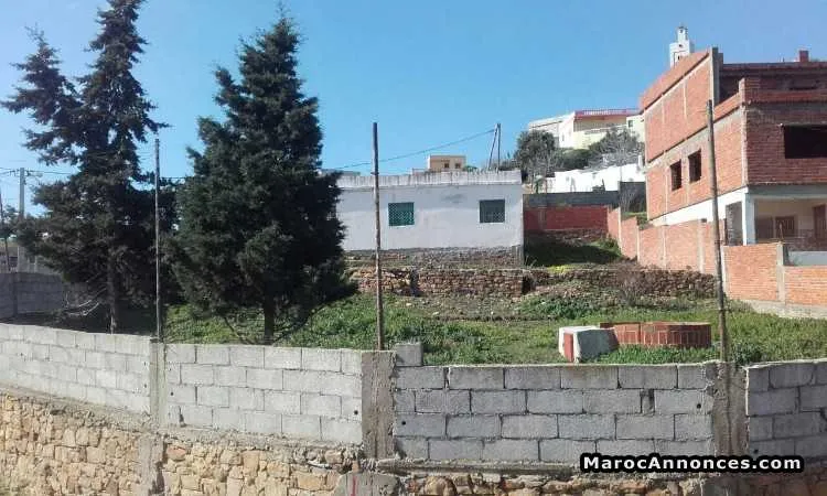 Vente terrain de 650 m2 à route de ksar sghir - طنجة (3)