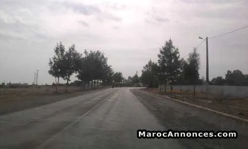 Terrain de 500 m² zone villa la colline tamaris - الدار البيضاء (3)