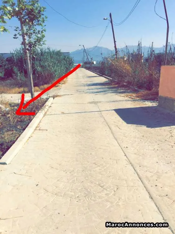 Terrain de 158 m2 au mallalyene tetouan - تطوان (3)