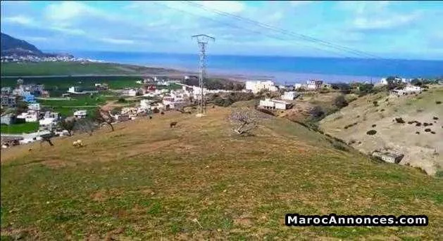 Terrain à tétouane sur la route al houciema - تطوان (3)