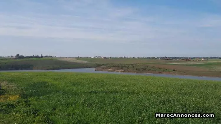 Terrain 4100 m2 à temara - تمارة (2)
