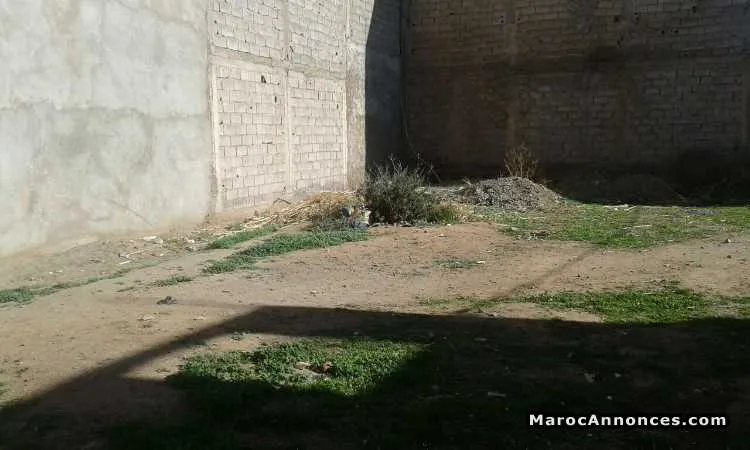 Terrain titré a vendre  ait ourir - مراكش (2)