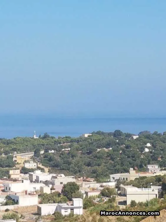 Terrain titré de 300 m² et 3 façades - طنجة