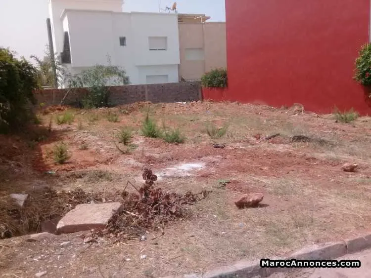 Terrains a vendre a haroura - تمارة (2)