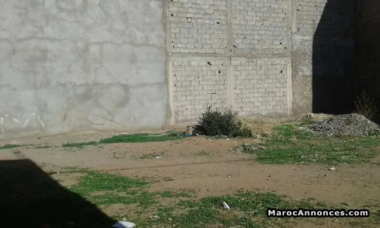Terrain titré a vendre  ait ourir - مراكش (2)