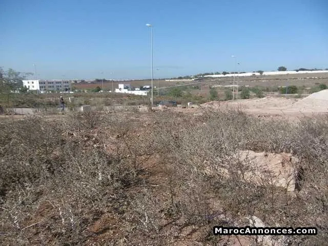 Terrain 161 m² à vendre, dar bouazza, casablanca - الدار البيضاء (2)