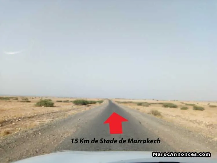 1,25 ha à vendre - مراكش (2)