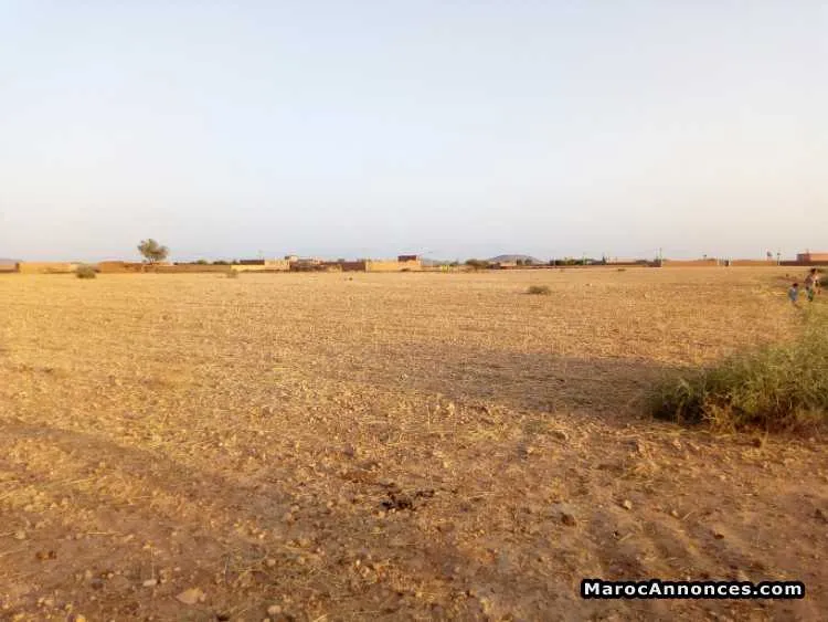 1,25 ha à vendre - مراكش