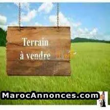 Lots de terrains - بوزنيقة
