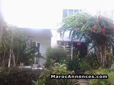 Villa de 1900 m² à mohammedia. - المحمدية (3)