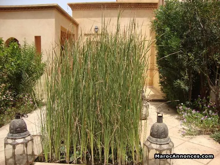 Villa en location amelkis - مراكش
