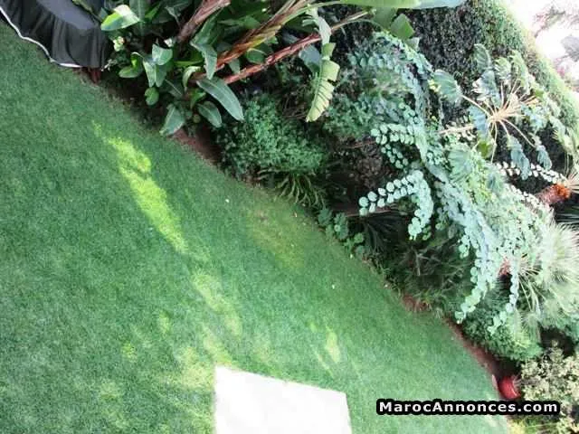 Villa 650 m² à vendre, californie, casablanca - الدار البيضاء (2)