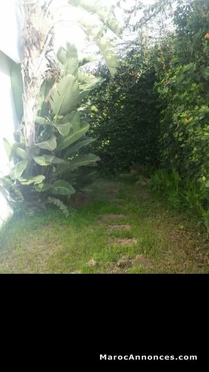 Villa fonctionnelle à louer bon quartier - الدار البيضاء (2)