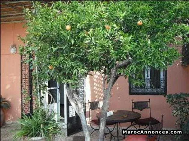 Villa 2 étages avec 1 grand jardin - مراكش