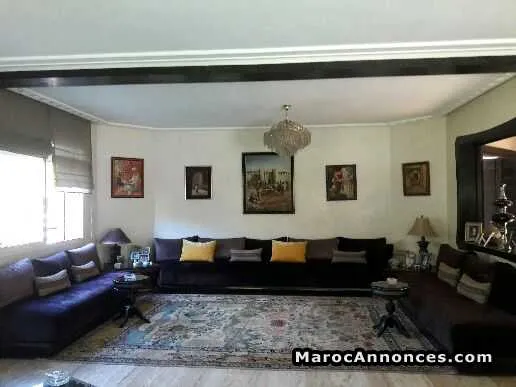 Salon marocain en velours style - الدار البيضاء (3)