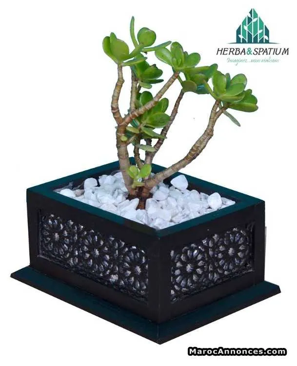 Cadeau / accessoire bureau et salon - الرباط