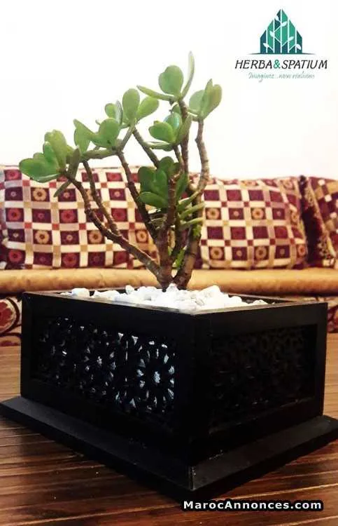 Cadeau / accessoire bureau et salon - الرباط (2)
