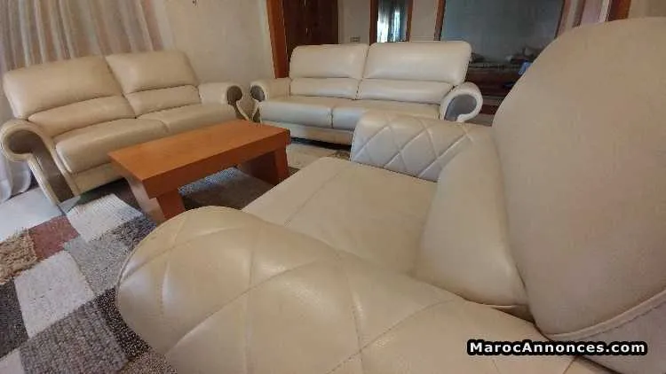Fauteuil de lux vrai cuir - مراكش (2)