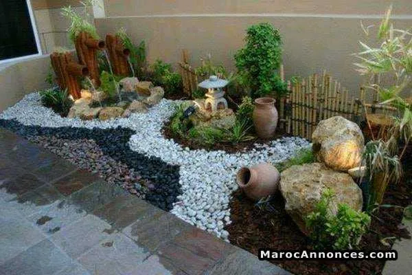 Jardinier professionel - الدار البيضاء (3)