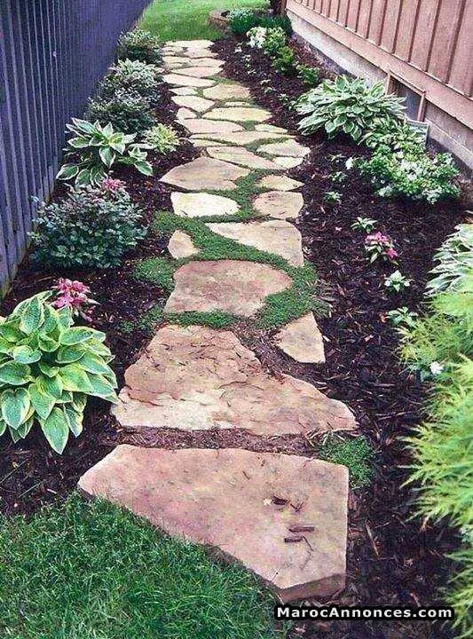 Jardinier professionel - الدار البيضاء