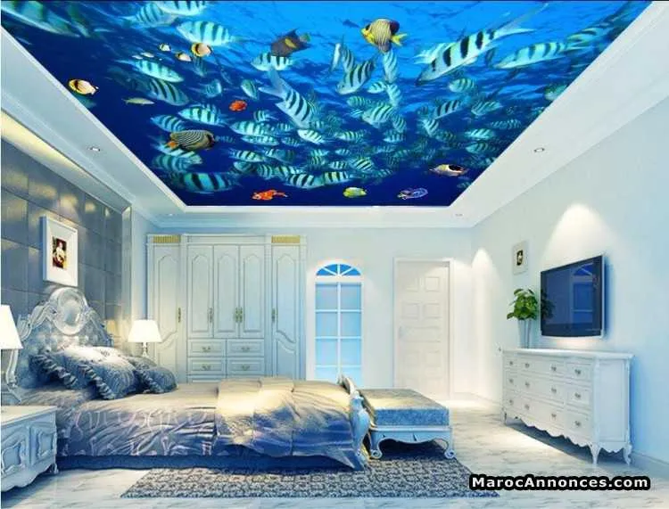Le plafond tendu - مكناس (3)