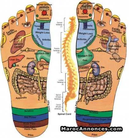 Acupunctrice et réflexoogue - الرباط