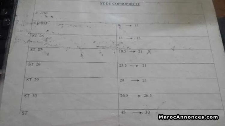 Dessinatrice topographie - طنجة
