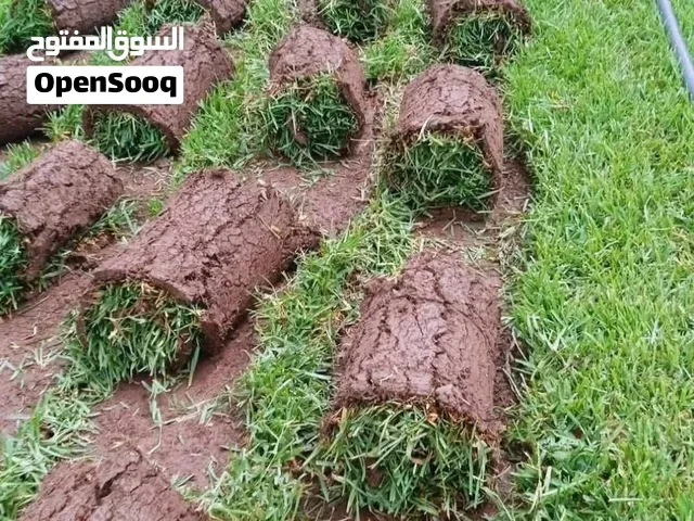 Gazon naturel - مراكش