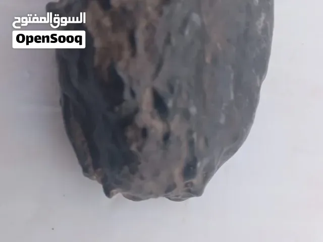 حجر نيزكي صحراوي نادر - قطعة من الفضاء بين يديك NWA Meteorite - Sahara Desert - 50g - ورزازات